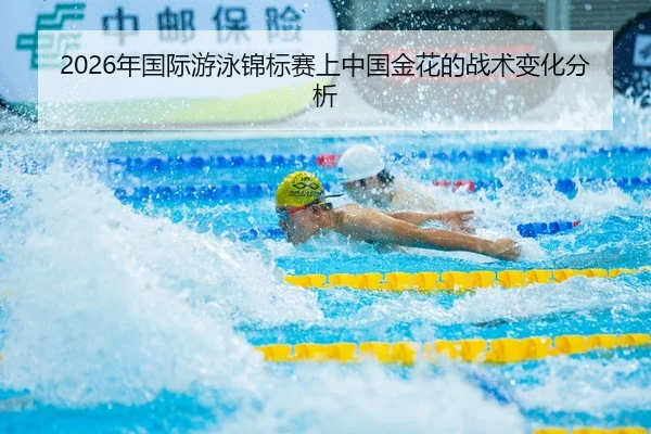 2026年国际游泳锦标赛上中国金花的战术变化分析