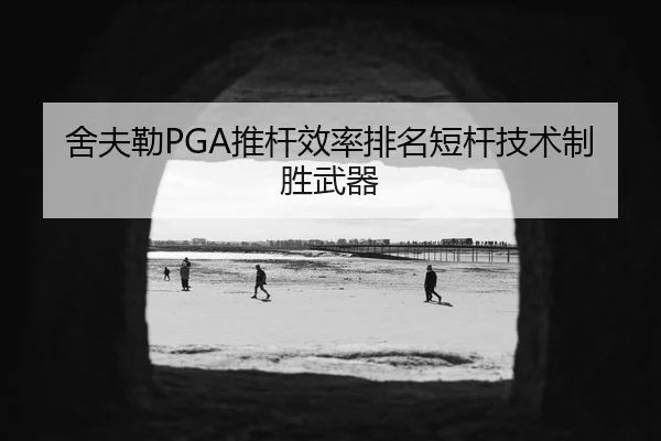 舍夫勒PGA推杆效率排名短杆技术制胜武器