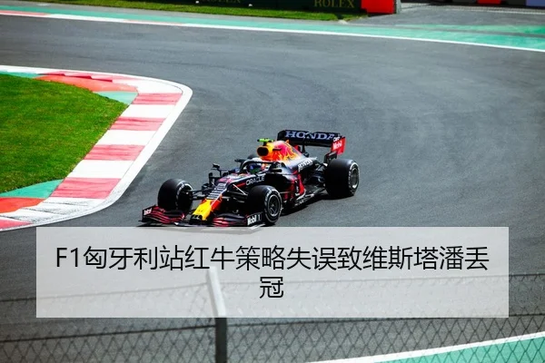 F1匈牙利站红牛策略失误致维斯塔潘丢冠