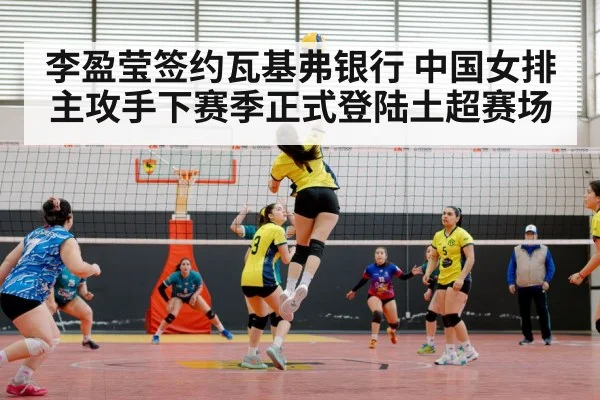 volleyball arena